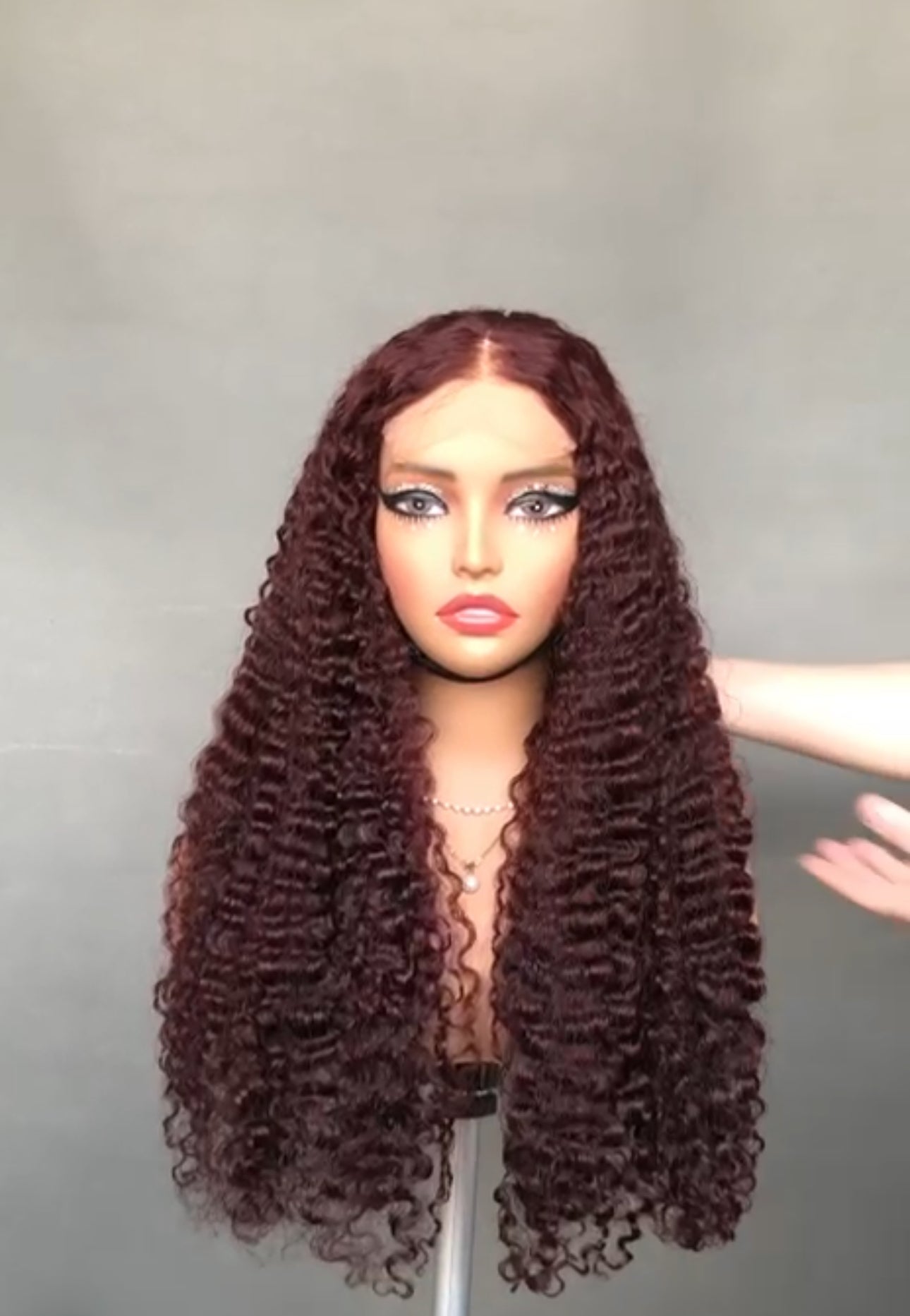 Sdd Burmese curl